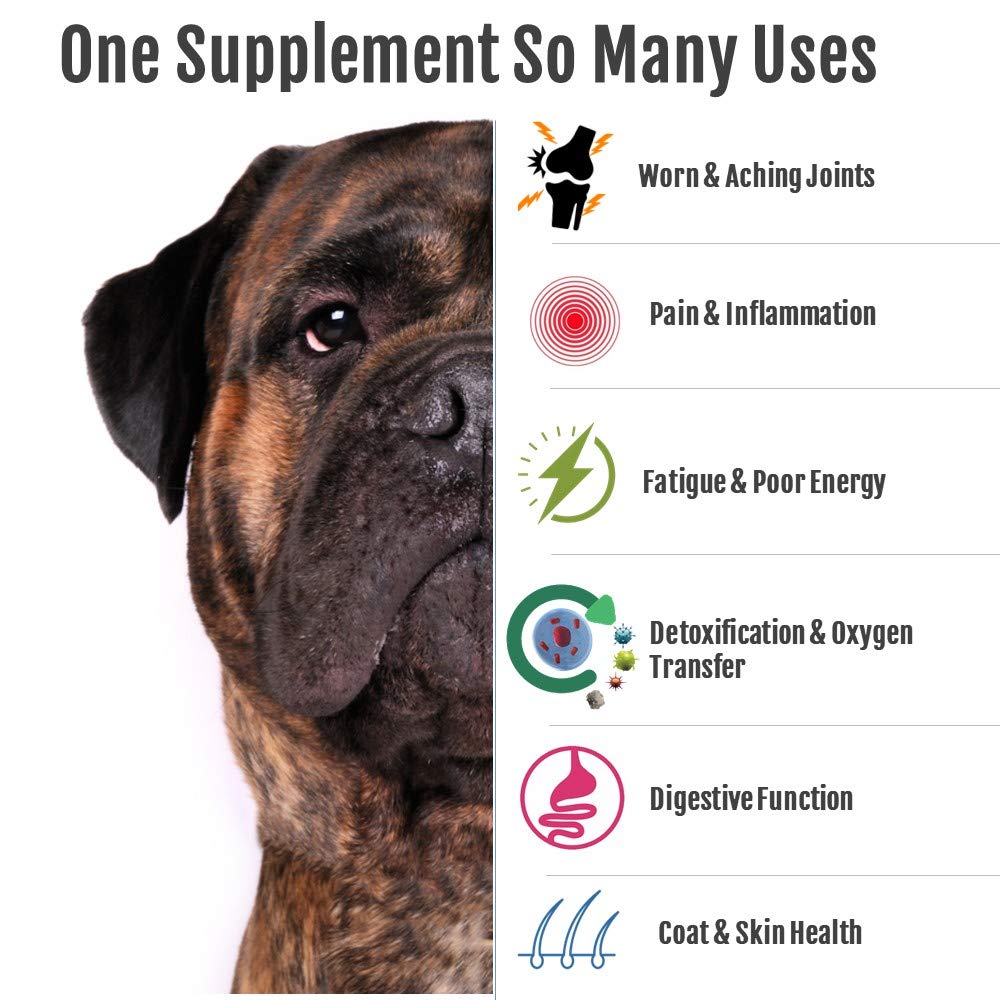 HAPPY BODY Pure MSM Joint Supplement for Dogs, Cats, & Horses - 100% Additive-Free - High Performance, Supports Senior Pets Well